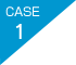 case1